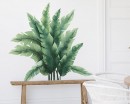 Tropical Plants Tropical Plants Leaves Wall Sticker